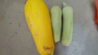 ТВОРЯТ ЧУДЕСА С ПОЧКАМИ СОЛИ КАЛИЯ