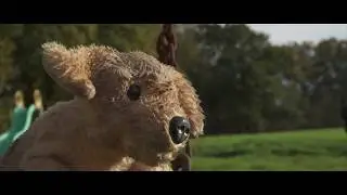 Campaña navideña para la prevención de la crueldad animal