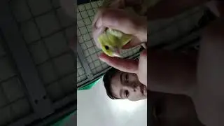 Каникулы
