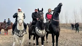 Tojik qishloq oqqush ot egalari sardor hoji eldor hoji tug’ilgan kulari bilan exson kopkarisi