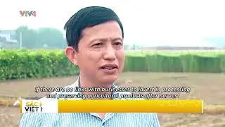 Đánh thức tiềm năng xuất khẩu nông sản Hà Nội (English subtitles) | VTV4