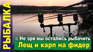 Не зря мы остались рыбачить, а все уехали.  Лещ и карп на фидер.  Новая прикормка сработала.