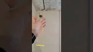 Как теряются розетки из-за штукатуров?