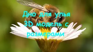 3Д модель дна улья