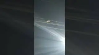 Hewan ini muncul saat Malam Idul Adha