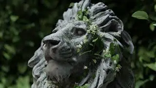 BagaIvy Generator V2 - Next Level !