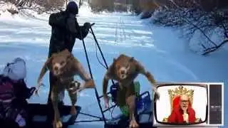 ПРИКОЛЬНЫЙ ЮМОР - ЛИХАЯ МОТОСОБАКА