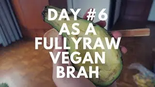Fullyraw raw vegan experiment day #6