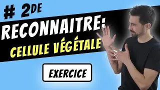 Reconnaitre une cellule végétale -SECONDE-