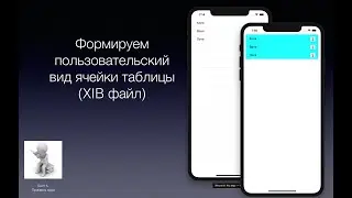 Swift 5  UITableView  Формируем ячейку с помощью XIB файла
