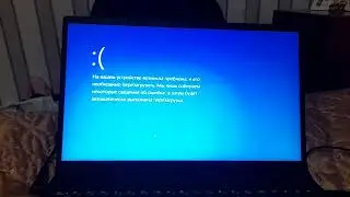 (Requested) Ngat yelling has BSOD