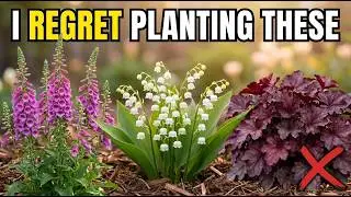 Don't Make My Mistake: 9 Perennials I Regret Planting as a Seasoned Gardener