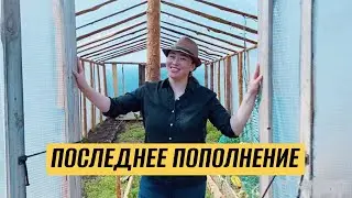 Закупаем оборудование и новое поголовье - а нам всё мало!