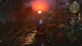 For the Advancement of Learning quest - The Witcher 3: Wild Hunt (killing Keira)