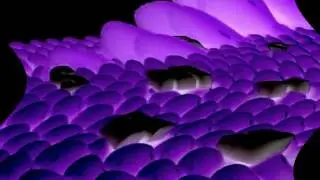 Samsung logo balls feels dizzy