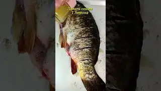 Карп в пиве в духовке #shorts #fish #food #cooking #vkusnoff