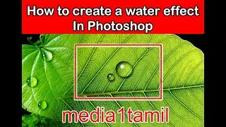 How to create a Leaf water effect In Photoshop