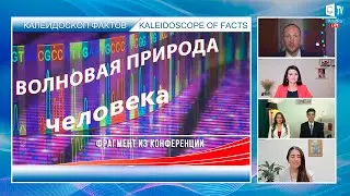 Волновая природа человека, ДНК I Калейдоскоп фактов- 6. Древний знак 