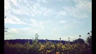 საოცარი სილამაზე 👀😱👌