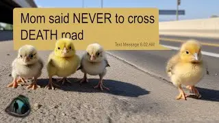 scary text message stories ► CROSS THE ROAD