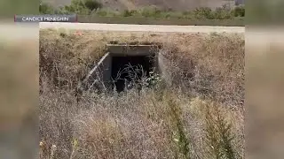 Improvements planned for Gaviota wildlife crossing