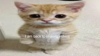 Me Am Back Me Happy