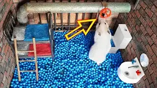 The World's Largest Hamster Prison Maze 🐹 The Best Hamster