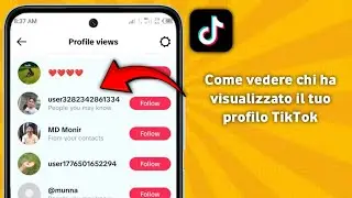 Come vedere chi ha visualizzato il tuo profilo TikTok (2025)