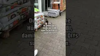 Wir lieben Fellnasen-Support 🤝