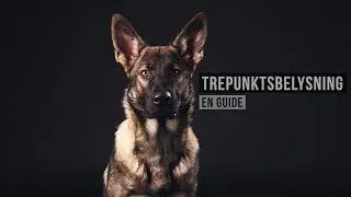 Trepunktsbelysning - 