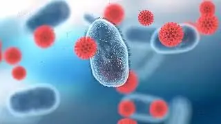 Delay Ageing:Healthy to100  - 60 sec