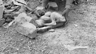 The poor old dog was in ba.d co.ndition with a wound near his eye