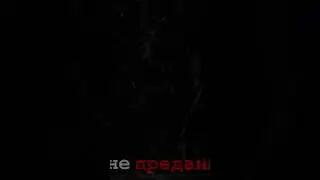 Хозяин леса #зайчик #хозяинлеса #корольишут