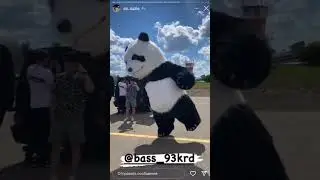 панда 🐼 на автозвуке