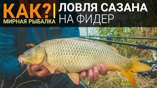 Айдаркул 2024 йил балик ови