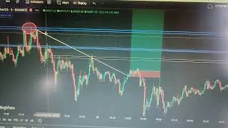 My trades after BTC halving Part2