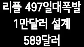 리플'497일폭발.589달러.1만달러'.