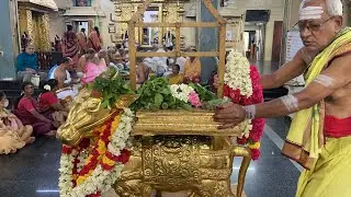 Pradosham live on 3-5-23 Wednesday