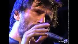 Marlene Kuntz - Nuotando Nell'aria Live
