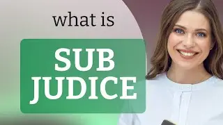 Sub judice • definition of SUB JUDICE
