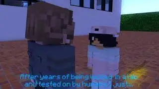 Damaged (Minecraft animation)