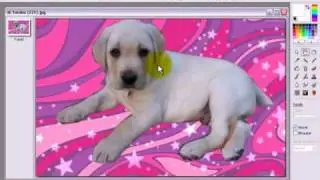 Recortando E Colocando Fundos No PhotoFiltre Studio X
