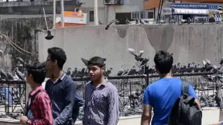 NIKKOR AF-P DX 70-300MM f/4.5-6.3 ED VR VIDEO TEST