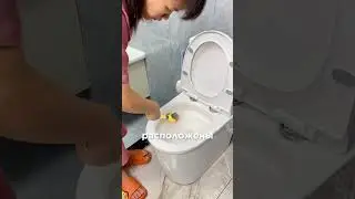 Ёршик для туалета в форме утки