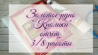 Золотое руно "Кролики" отчёт 3/8 работы