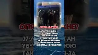 ОПЯТЬ ЦЫГАНЕ?  #политика #новости