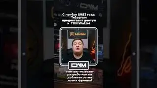 С ноября 2023 года Telegram предоставит доступ к TON Wallet