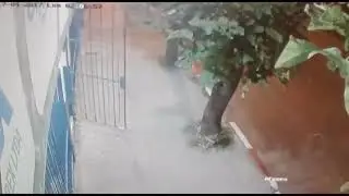 OTRO REGISTRO DEL ROBO A TORNIPANDO 18/4/2018