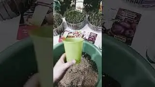 19 февраля 2024 г.
