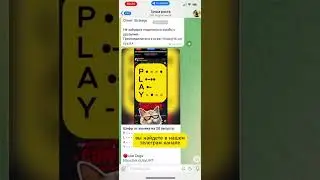 Ежедневное комбо 25 августа Хамстер Комбат (Hamster Kombat)